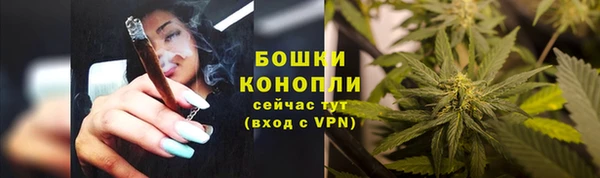 твердый Гусь-Хрустальный